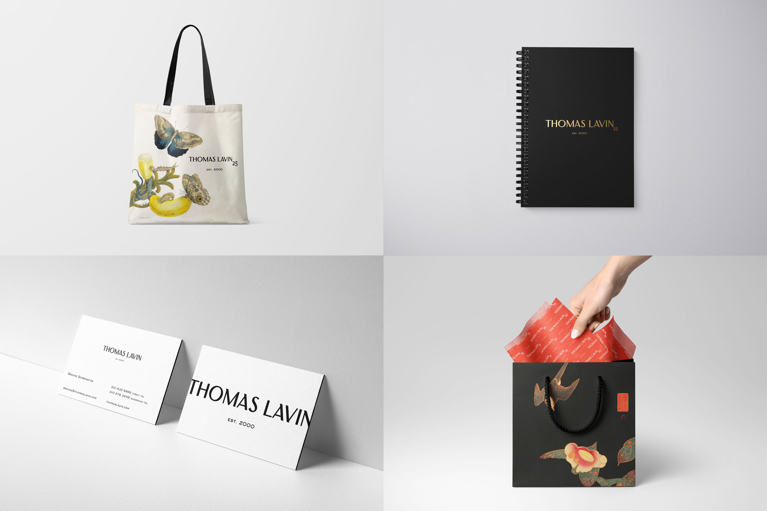 Thomas Lavin Brand Identity Redesign